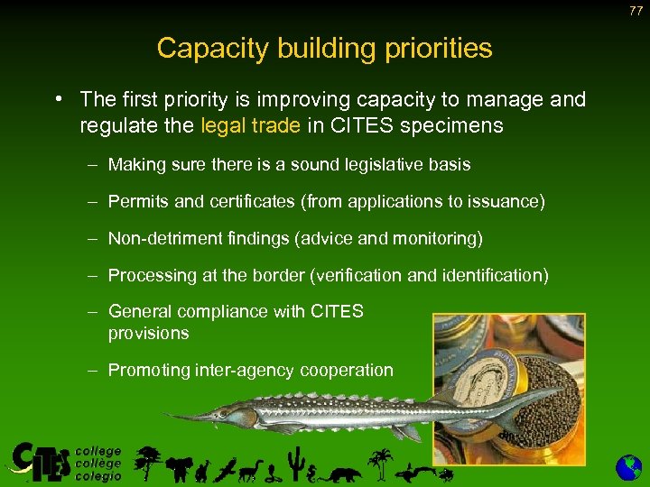 77 Capacity building priorities • The first priority is improving capacity to manage and