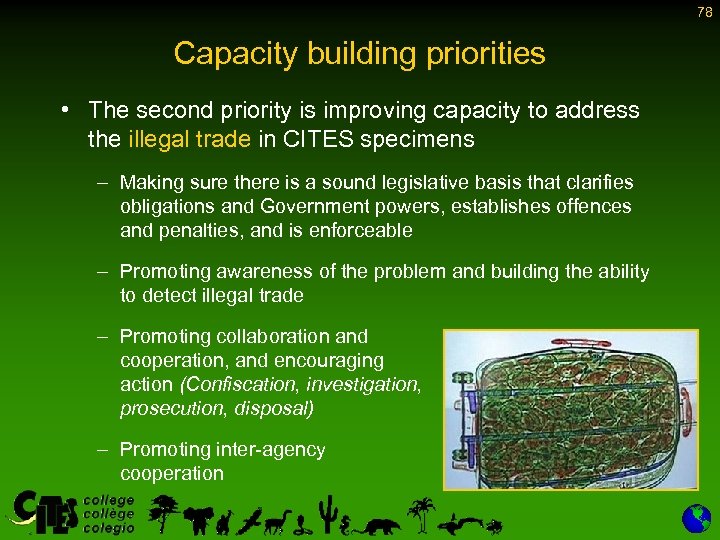 78 Capacity building priorities • The second priority is improving capacity to address the