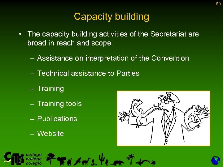 80 Capacity building • The capacity building activities of the Secretariat are broad in