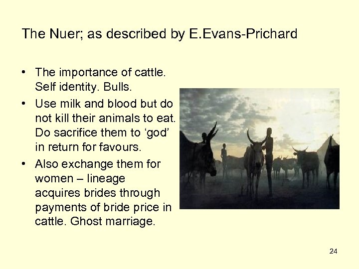 The Nuer; as described by E. Evans-Prichard • The importance of cattle. Self identity.