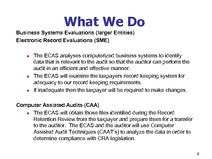 What We Do Business Systems Evaluations (larger Entities) Electronic Record Evaluations (SME) n n
