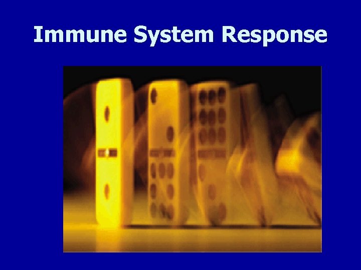 Immune System Response 