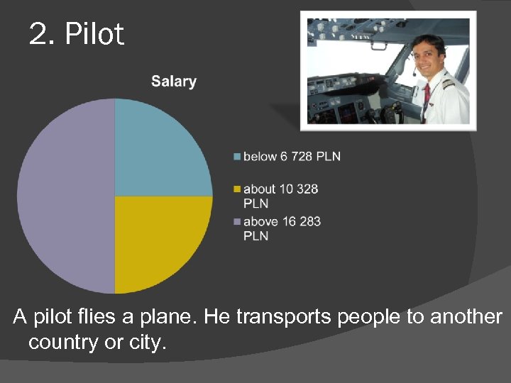 2. Pilot A pilot flies a plane. He transports people to another country or