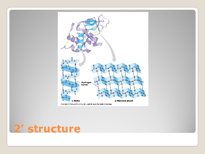 2’ structure 