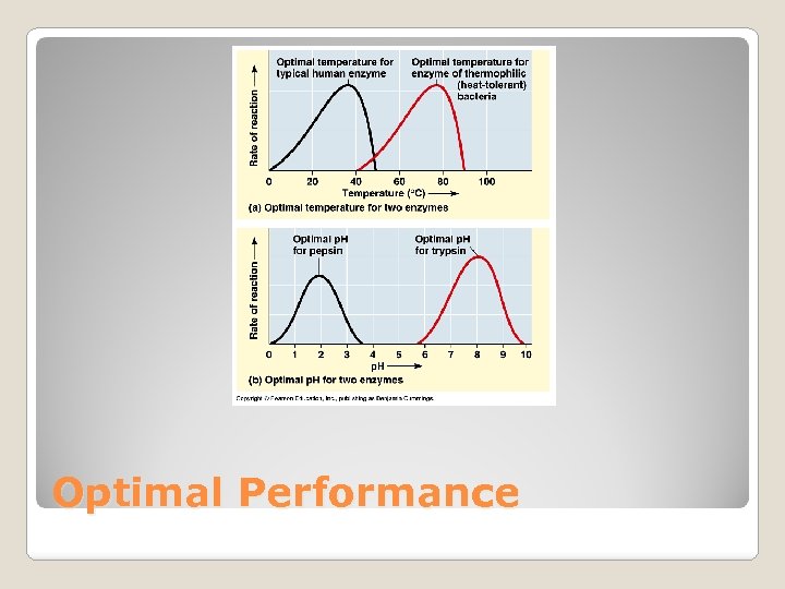 Optimal Performance 