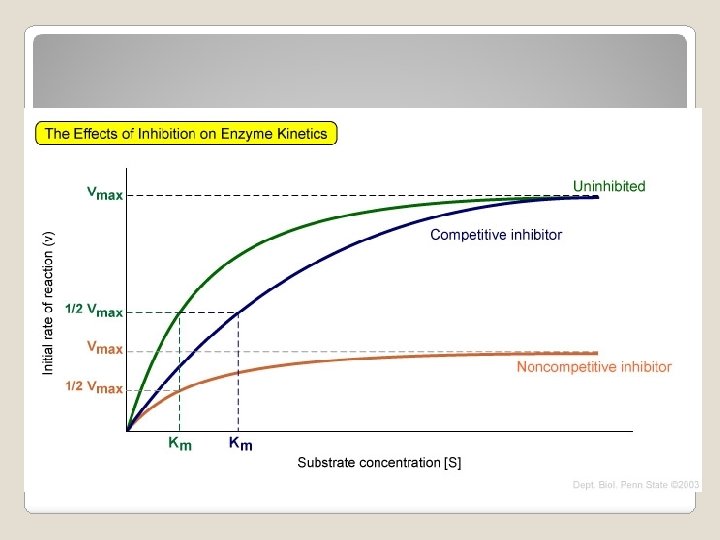 Reaction rates for each condition 