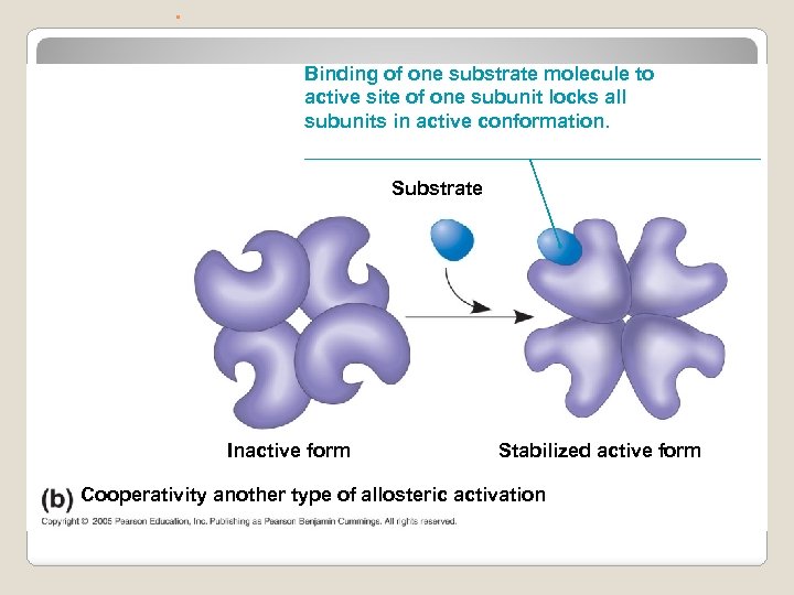 . Binding of one substrate molecule to active site of one subunit locks all