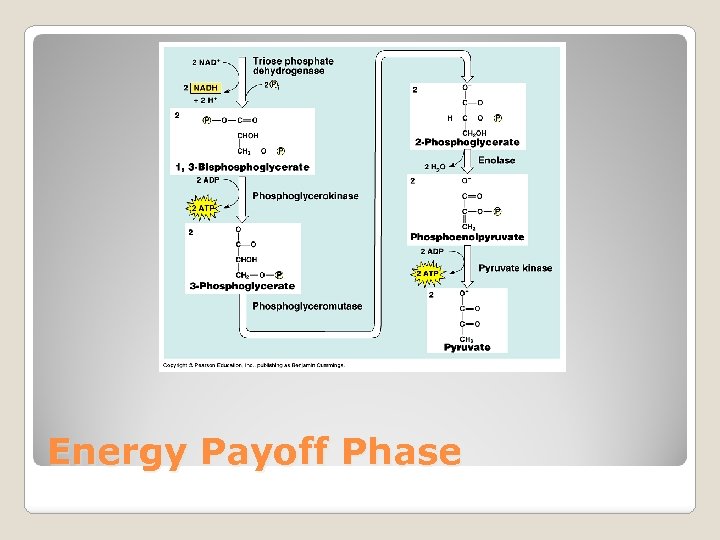 Energy Payoff Phase 