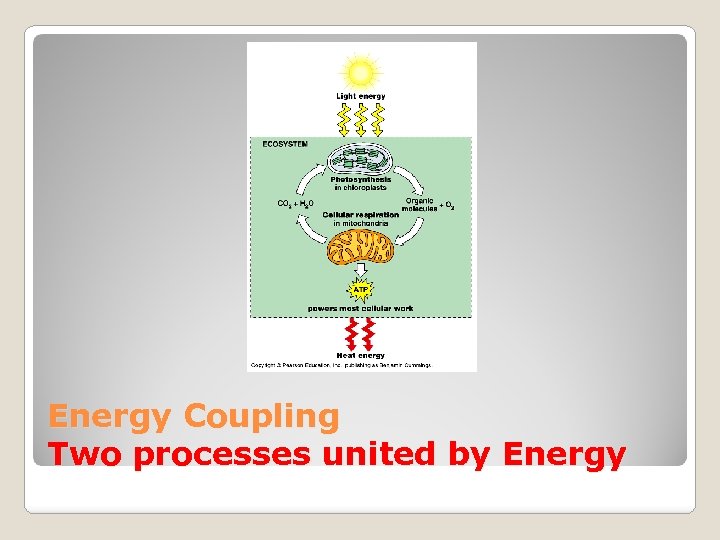 Energy Coupling Two processes united by Energy 