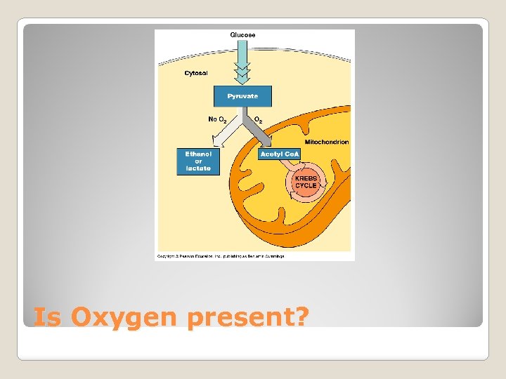 Is Oxygen present? 