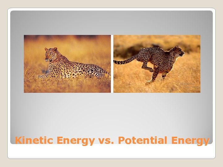 Kinetic Energy vs. Potential Energy 