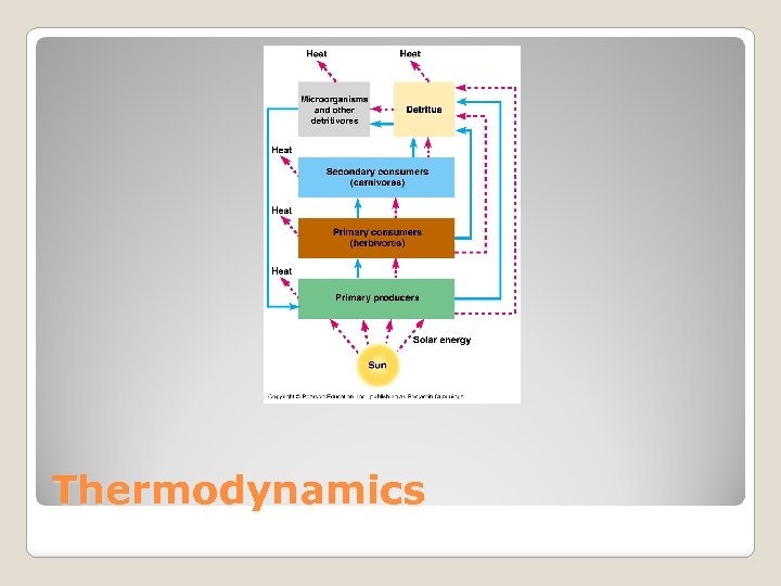 Thermodynamics 