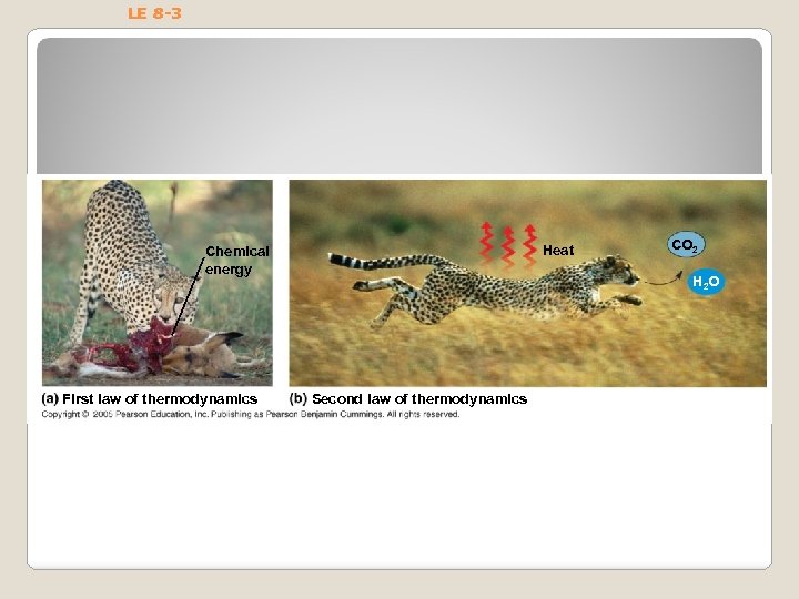 LE 8 -3 Heat Chemical energy First law of thermodynamics CO 2 H 2