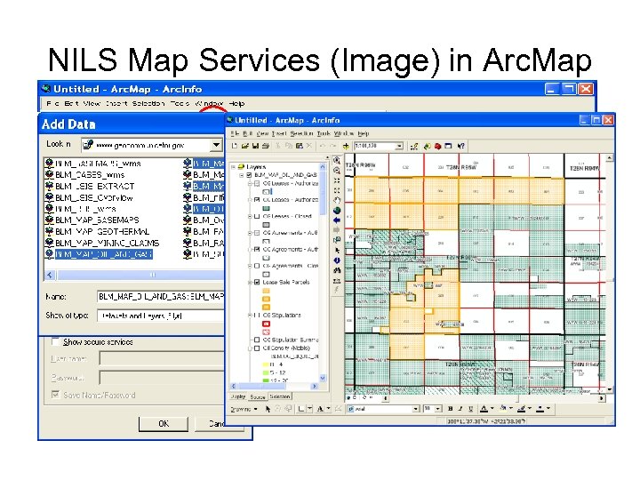 NILS Map Services (Image) in Arc. Map 