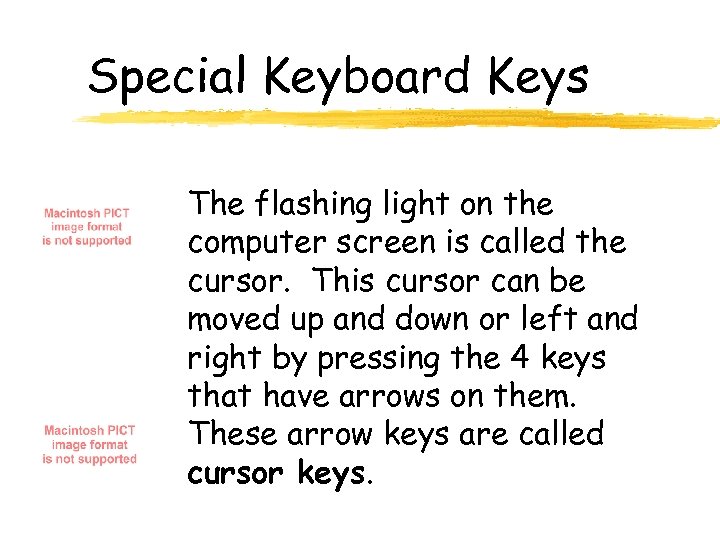 Special Keyboard Keys The flashing light on the computer screen is called the cursor.