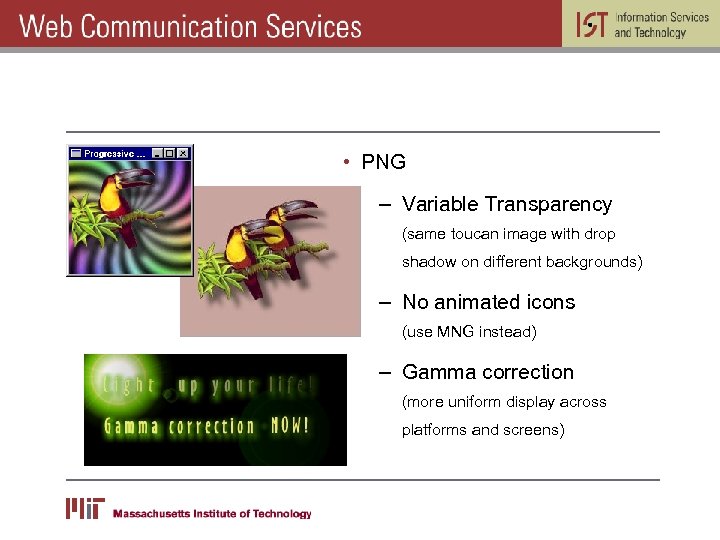  • PNG – Variable Transparency (same toucan image with drop shadow on different