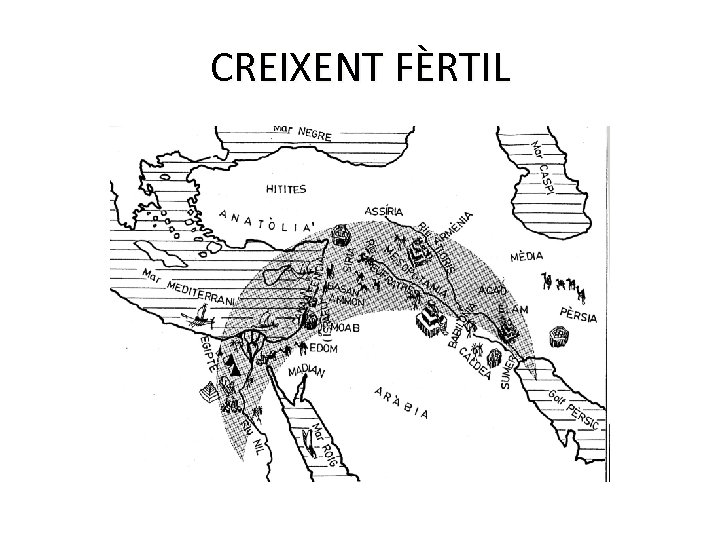 CREIXENT FÈRTIL 