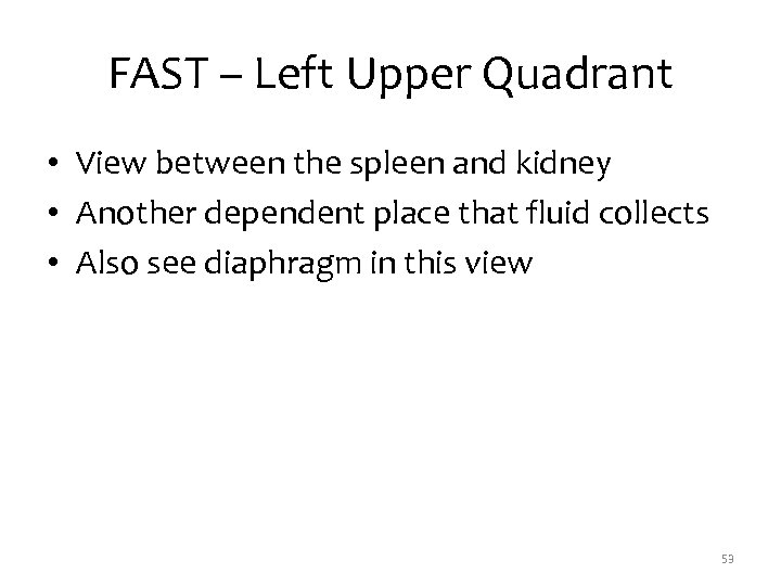 FAST – Left Upper Quadrant • View between the spleen and kidney • Another