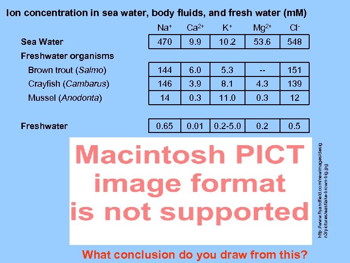 Ion concentration in sea water, body fluids, and fresh water (m. M) Na+ Ca
