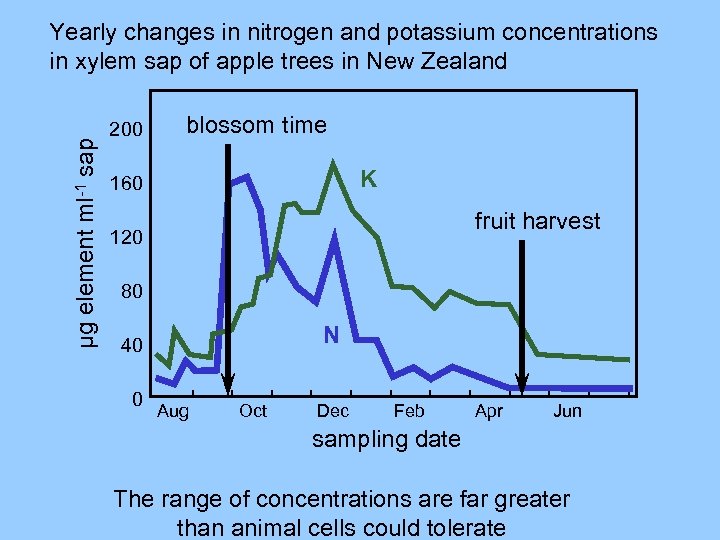 µg element ml-1 sap Yearly changes in nitrogen and potassium concentrations in xylem sap