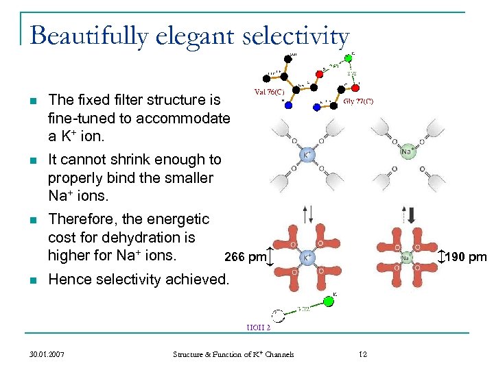 Beautifully elegant selectivity n The fixed filter structure is fine-tuned to accommodate a K+