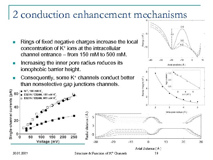 2 conduction enhancement mechanisms n Rings of fixed negative charges increase the local concentration