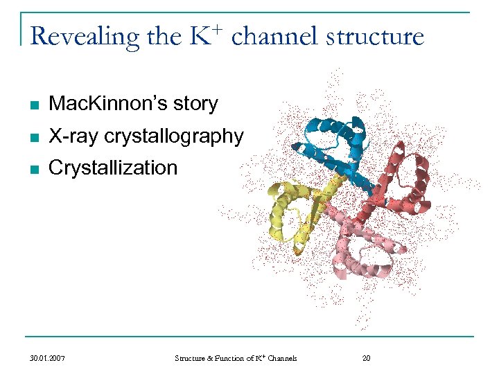Revealing the + K channel structure n Mac. Kinnon’s story n X-ray crystallography n