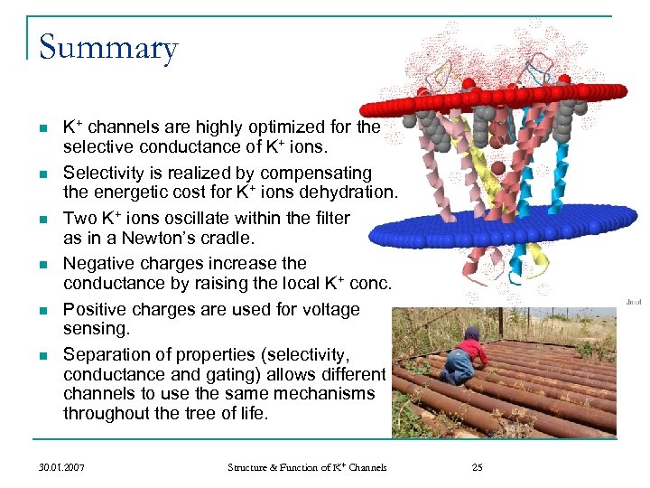 Summary n n n K+ channels are highly optimized for the selective conductance of