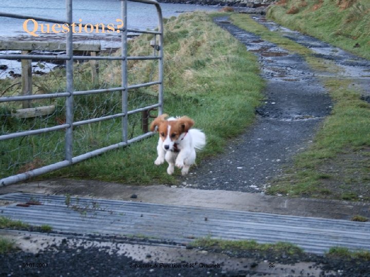 Questions? 30. 01. 2007 Structure & Function of K+ Channels 26 