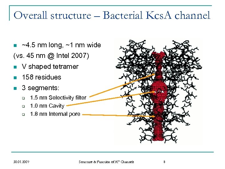 Overall structure – Bacterial Kcs. A channel n ~4. 5 nm long, ~1 nm