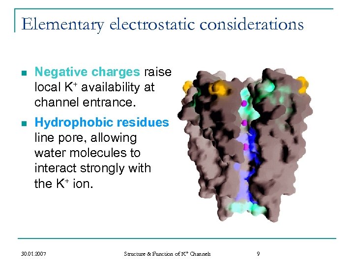 Elementary electrostatic considerations n Negative charges raise local K+ availability at channel entrance. n