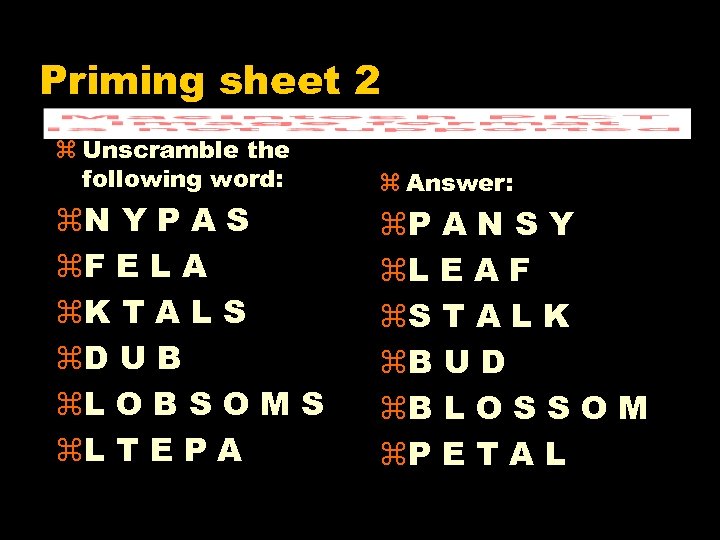 Priming sheet 2 z Unscramble the following word: z. N Y P A S