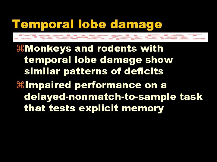 Temporal lobe damage z. Monkeys and rodents with temporal lobe damage show similar patterns