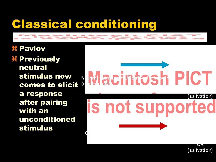 Classical conditioning z Pavlov z Previously neutral stimulus now comes to elicit a response