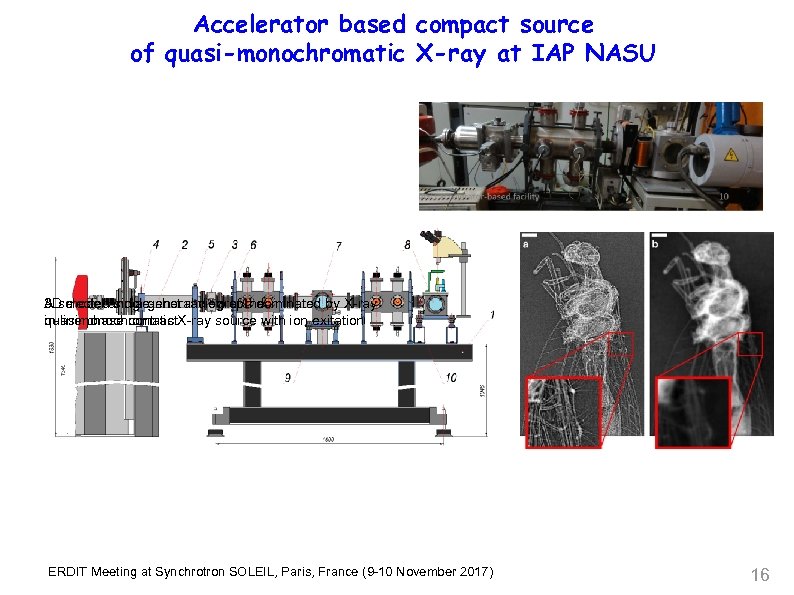 Accelerator based compact source of quasi-monochromatic X-ray at IAP NASU A selected single-shot radiograph