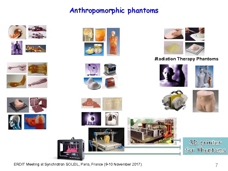 Anthropomorphic phantoms Radiation Therapy Phantoms ERDIT Meeting at Synchrotron SOLEIL, Paris, France (9 -10