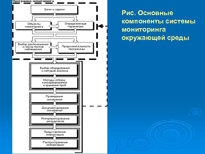 Рис. Основные компоненты системы мониторинга окружающей среды 