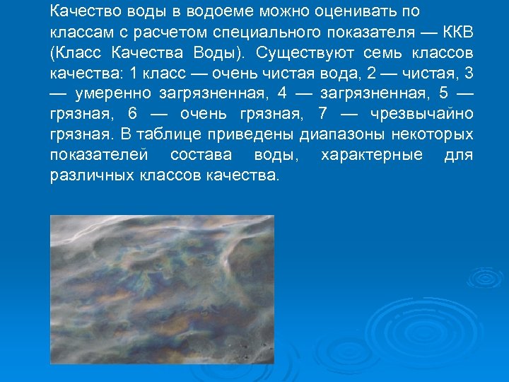 Качество воды в водоеме можно оценивать по классам с расчетом специального показателя — ККВ