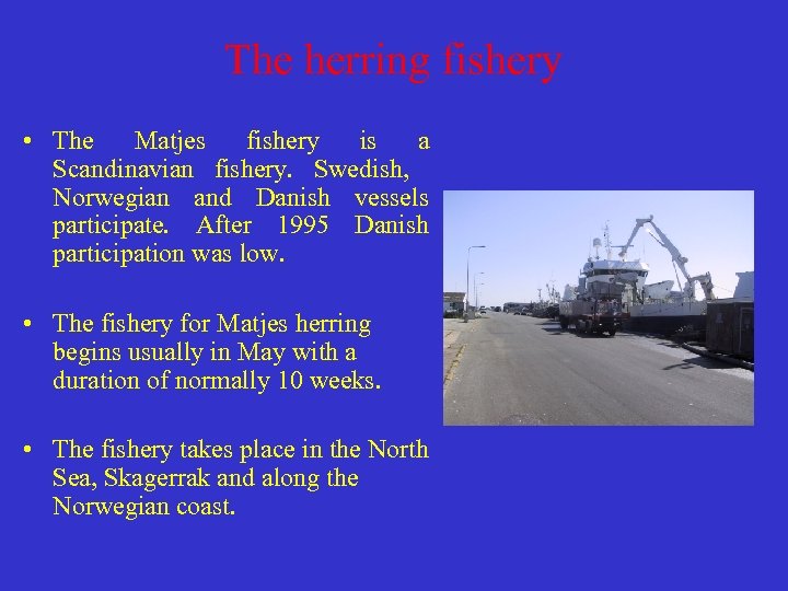 The herring fishery • The Matjes fishery is a Scandinavian fishery. Swedish, Norwegian and