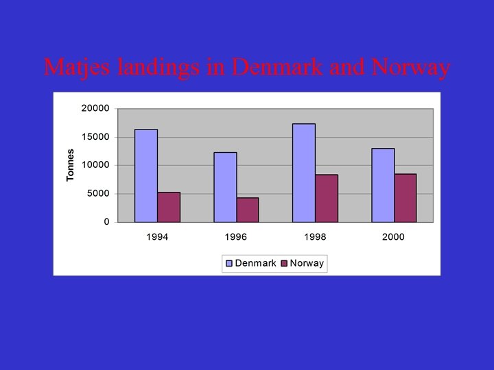 Matjes landings in Denmark and Norway 