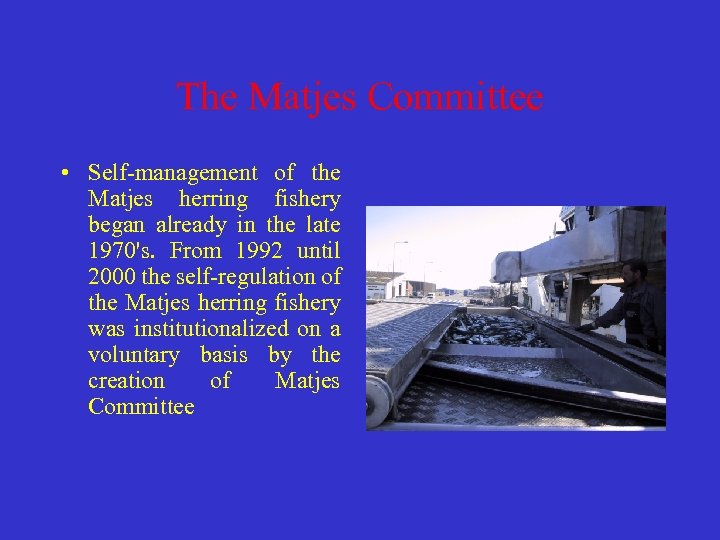 The Matjes Committee • Self-management of the Matjes herring fishery began already in the