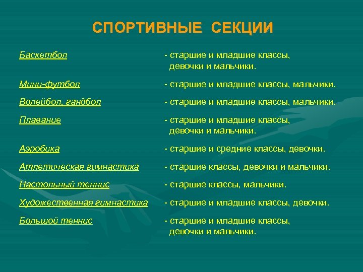 СПОРТИВНЫЕ СЕКЦИИ Баскетбол - старшие и младшие классы, девочки и мальчики. Мини-футбол - старшие