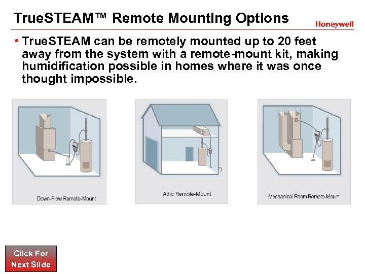 True. STEAM™ Remote Mounting Options • True. STEAM can be remotely mounted up to