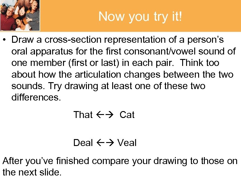 Now you try it! • Draw a cross-section representation of a person’s oral apparatus