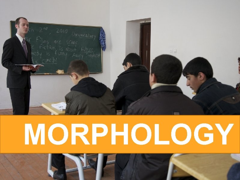 PHONOLOGY MORPHOLOGY 