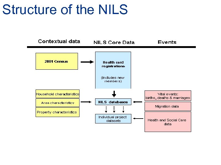 Structure of the NILS 