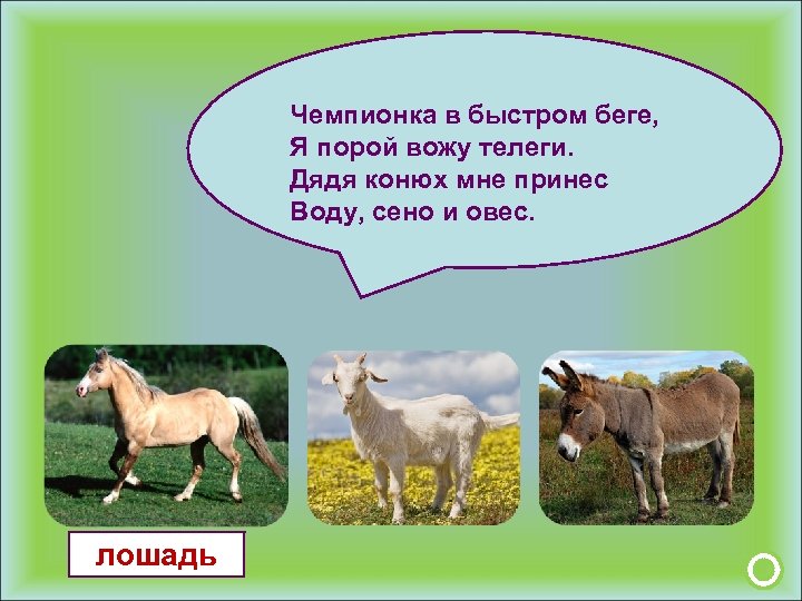Чемпионка в быстром беге, Я порой вожу телеги. Дядя конюх мне принес Воду, сено