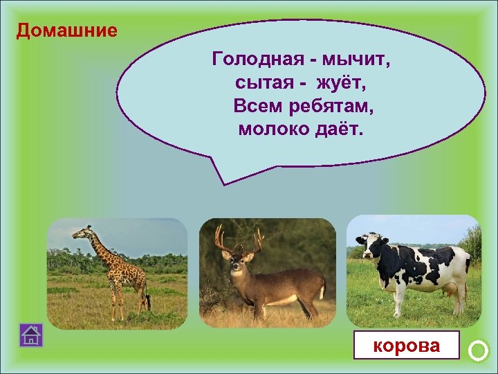 Домашние Голодная - мычит, сытая - жуёт, Всем ребятам, молоко даёт. корова 