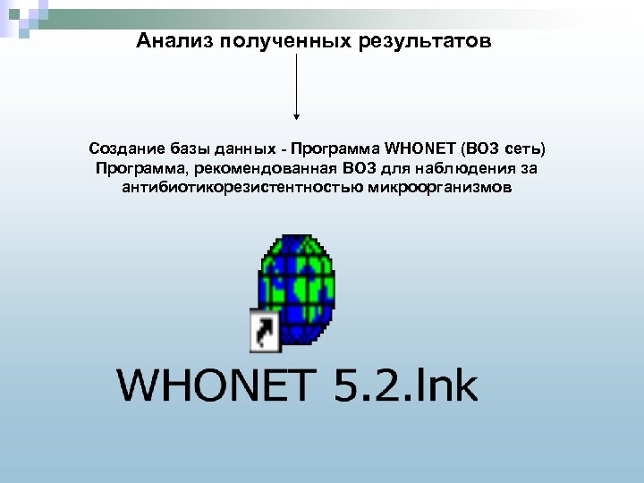 Анализ полученных результатов Создание базы данных - Программа WHONET (ВОЗ сеть) Программа, рекомендованная ВОЗ