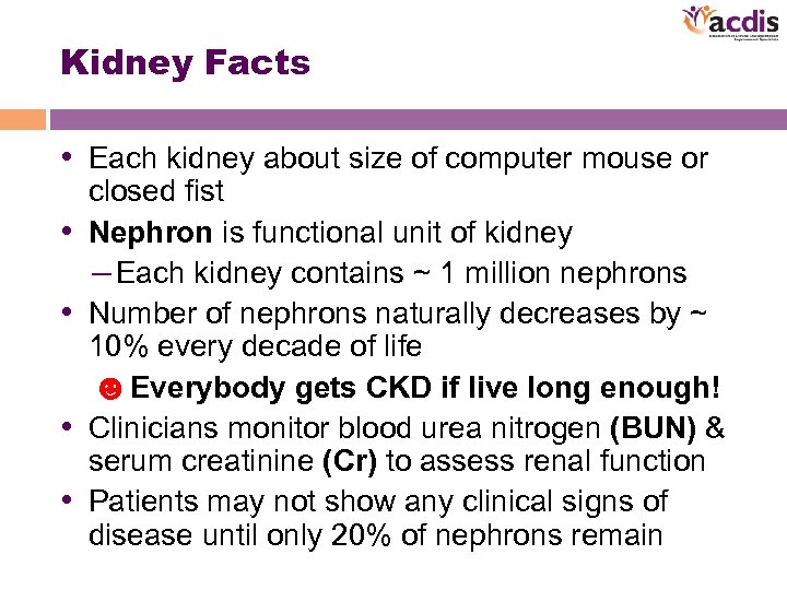 Kidney Facts • Each kidney about size of computer mouse or • • closed